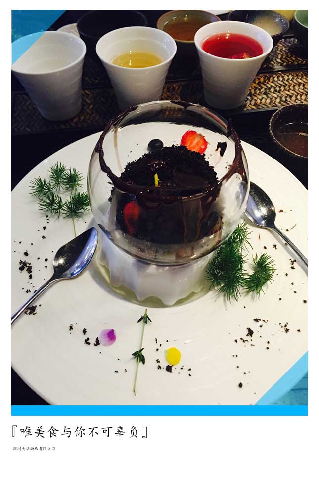 2015年第十二屆上海模型展，大華參展！